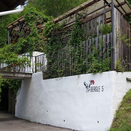 Haus Am Bergle Apartment Lauterbach  Bagian luar foto
