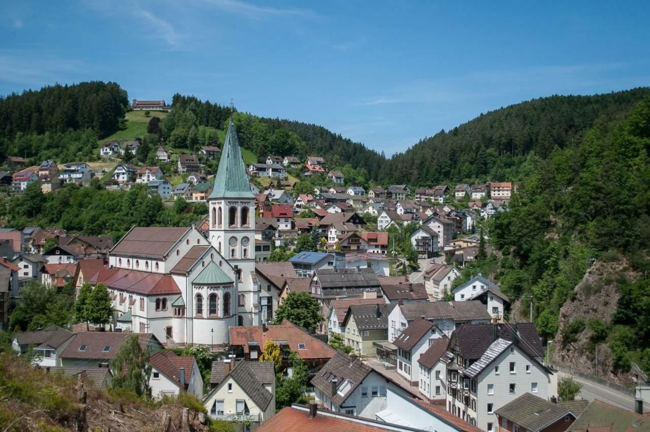 Haus Am Bergle Apartment Lauterbach  Bagian luar foto